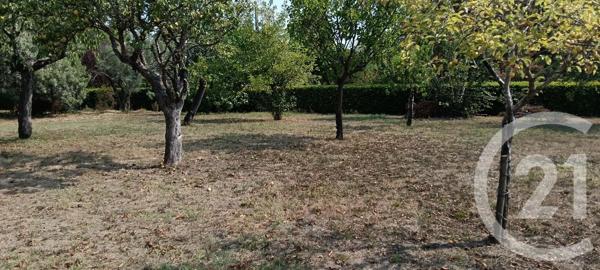 Terrain à vendre  700 m 2   GAILLAC  - 81
