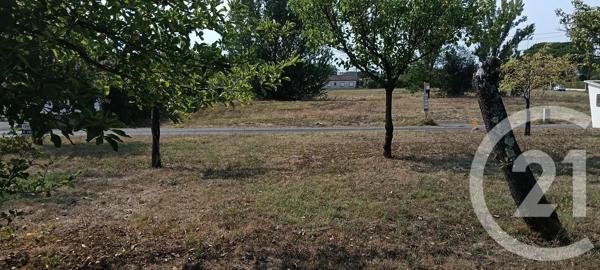 Terrain à vendre  700 m 2   GAILLAC  - 81