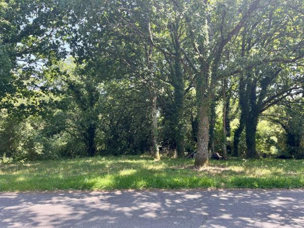 Longère à rénover sur 1400 m² de terrain à PLESCOP