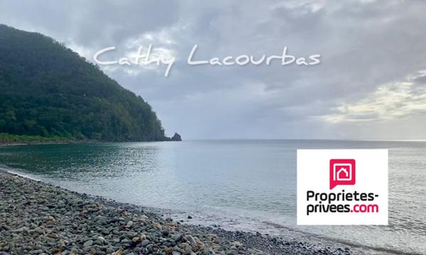 Terrain viabilisé 10000 m2 accès littoral- Pointe Noire -Guadeloupe