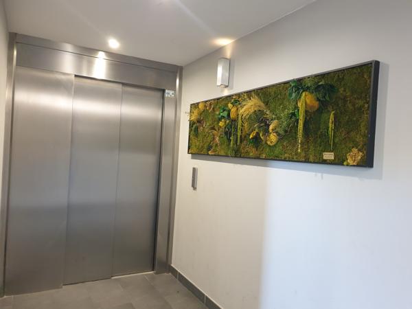 Appartement 3 pièces - 70 m²