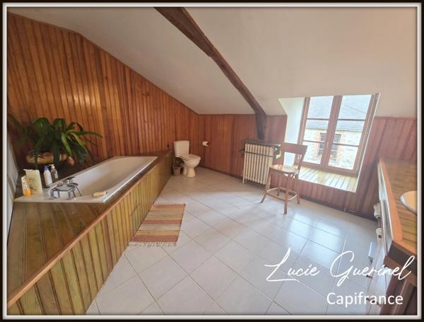 À vendre – Domaine de caractère de 200m2 à Ombré d’Anjou (28 hectares d’un seul tenant)