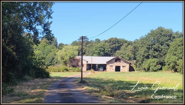 À vendre – Domaine de caractère de 200m2 à Ombré d’Anjou (28 hectares d’un seul tenant)