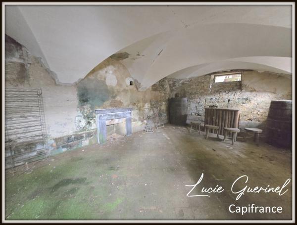 À vendre – Domaine de caractère de 200m2 à Ombré d’Anjou (28 hectares d’un seul tenant)