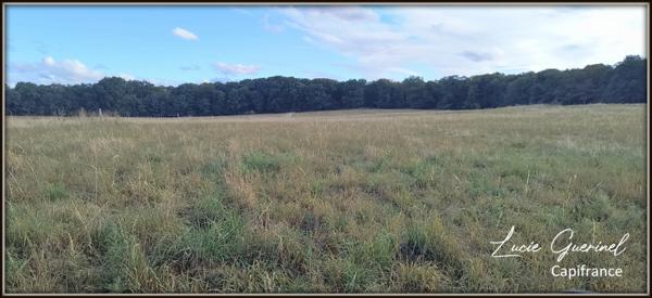 À vendre – Domaine de caractère de 200m2 à Ombré d’Anjou (28 hectares d’un seul tenant)