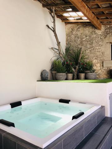 L'Isle-sur-la-Sorgue (84800) Propriété 800 m2