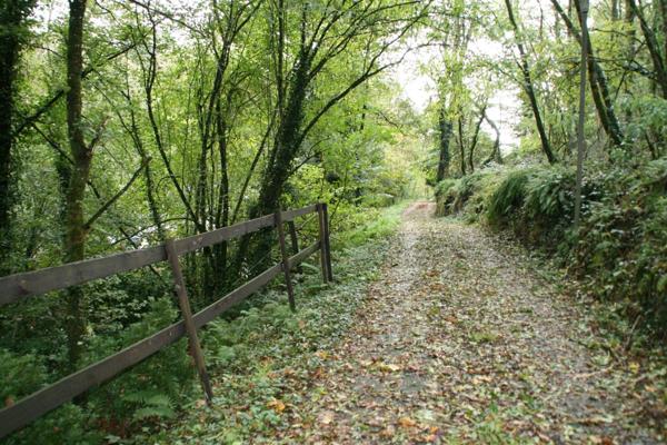 Vente Terrain 1 m2 à Josselin