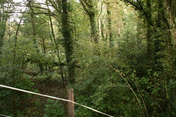 Vente Terrain 1 m2 à Josselin