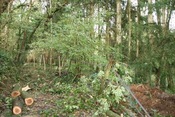 Vente Terrain 1 m2 à Josselin