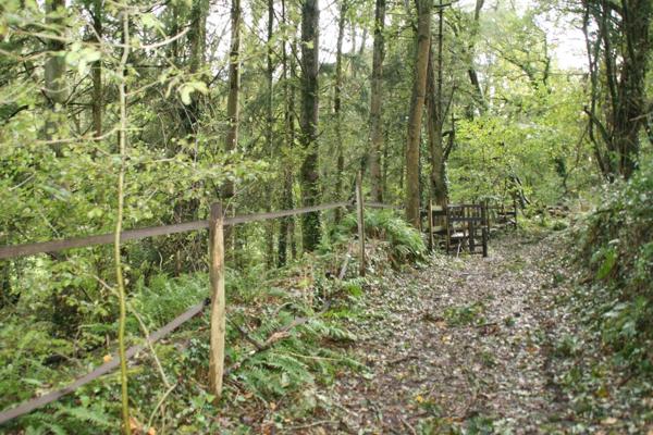 Vente Terrain 1 m2 à Josselin