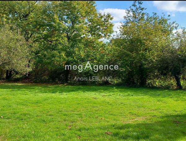 Terrain à HAMBERS, 53160 - 3300m²