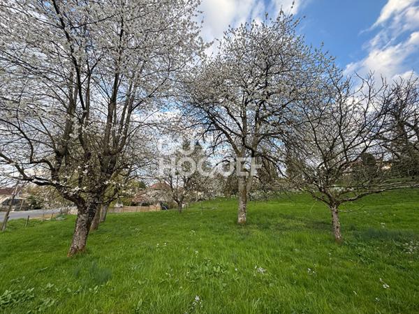 Terrain constructible Burgille