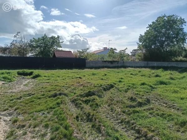 🌿 Terrain constructible – Secteur recherché Orouet – Saint-Jean-de-Monts