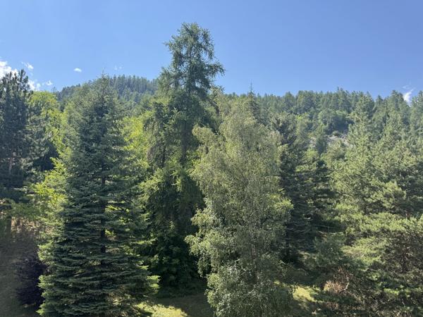 Pra Loup 1500 — Charmant studio avec balcon et cave
