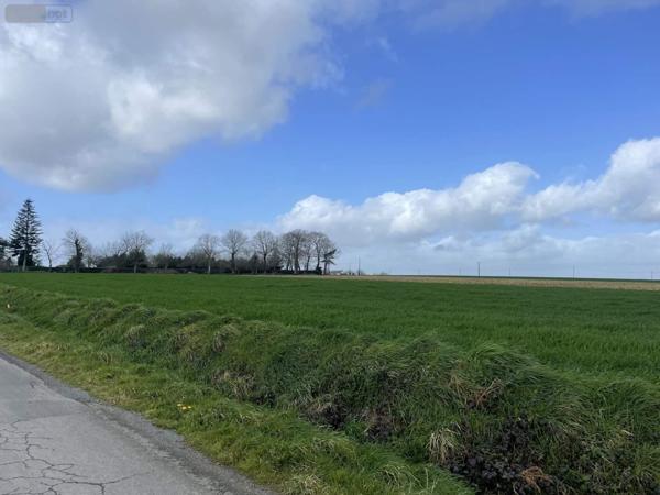 Terrain à Batir à vendre à Mauron dans le Morbihan (56430), ref : 169TAB