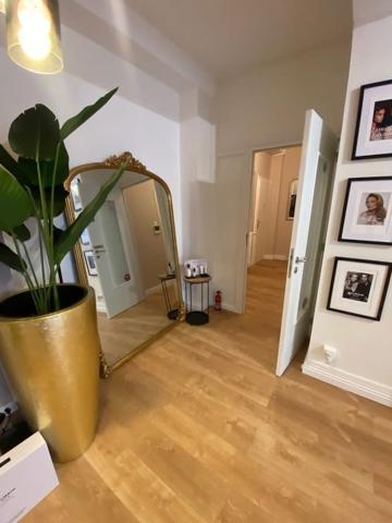 Local professionnel à vendre au centre-ville de haguenau