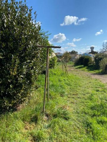 MAISON 150M2+50M2 DE GRENIER CENTRE NIORT A RENOVER