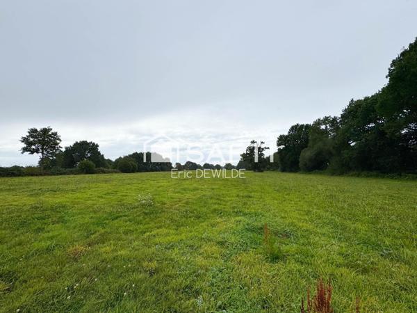 Maison à rénover, terrain rare de 4,4 ha