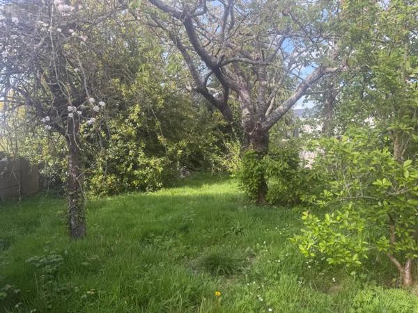 Achat - Terrain à bâtir Dinard 35800 950 m 2