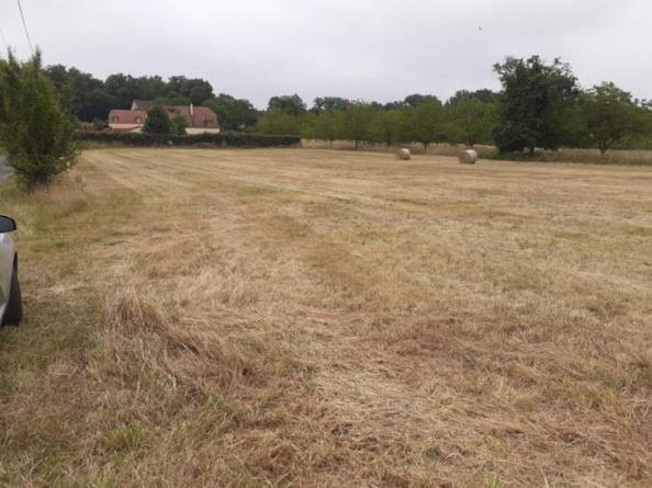 Terrain
        
        - 3375 m²