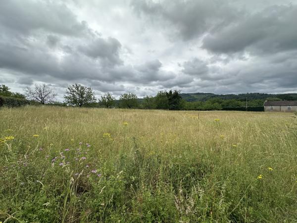 Terrain
        
        - 3375 m²