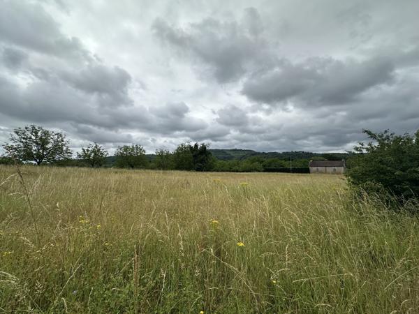 Terrain
        
        - 3375 m²