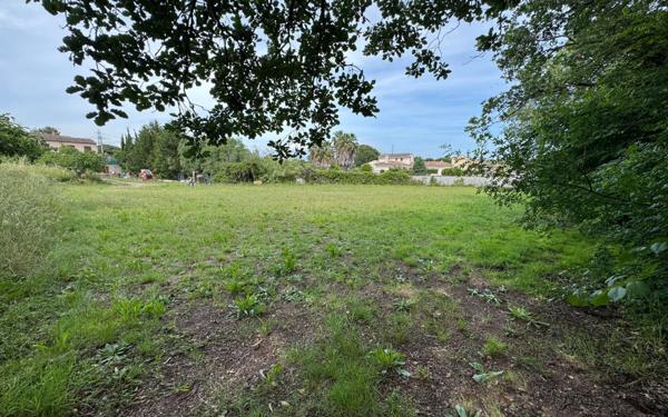 Terrain à vendre    Puget-sur-Argens