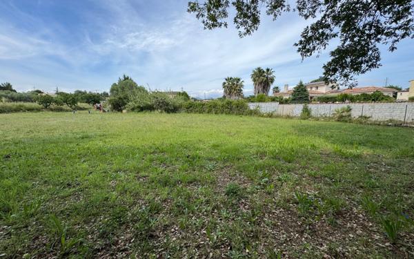 Terrain à vendre    Puget-sur-Argens