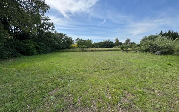 Terrain à vendre    Puget-sur-Argens