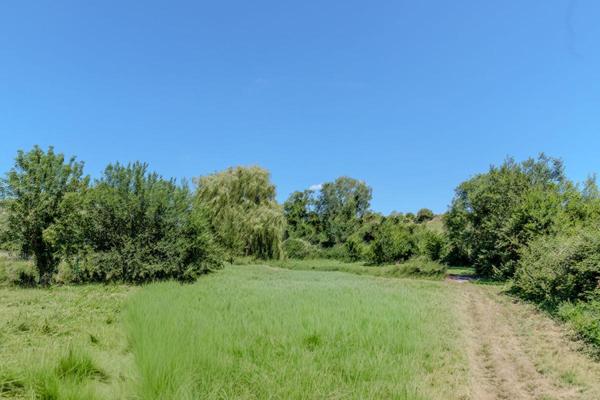 Longuesse - Maison familiale de charme sur 3 700 m² de terrain