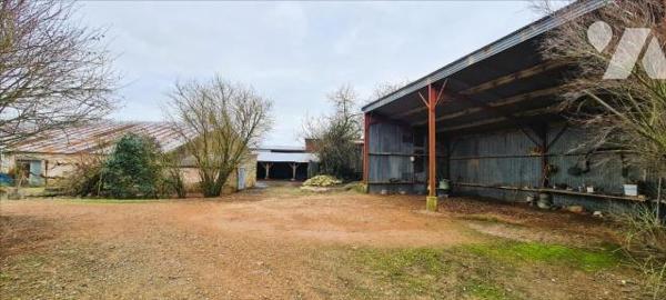 Maison + 2 terrains à bâtir + 1 grange + 2 hangars + dépendances