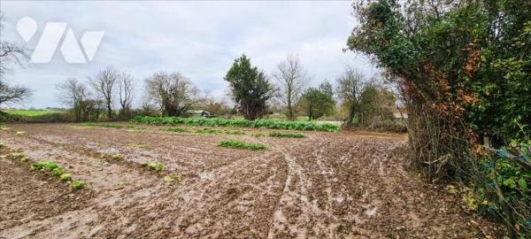 Maison + 2 terrains à bâtir + 1 grange + 2 hangars + dépendances