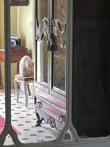 Marciac (32) ELEGANTE MAISON DE MAITRE, sans travaux, avec maison d'artistes ou gîte, parc séculaire clos de murs