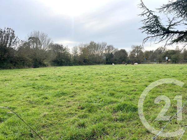 Maison à vendre  6 pièces - 165,63 m2 ST ETIENNE DE MONTLUC - 44