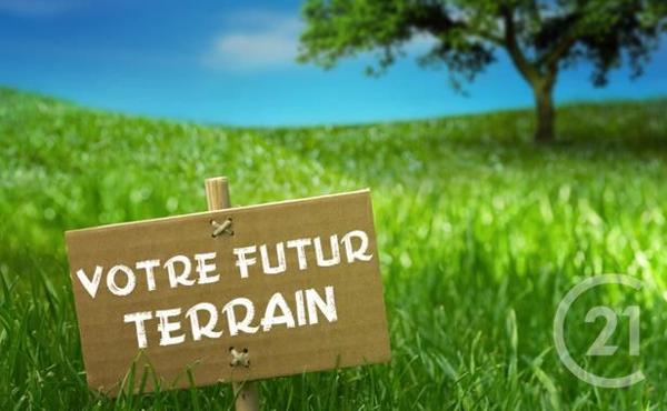 Terrain à vendre  2571 m2 DAMMARTIN EN GOELE - 77
