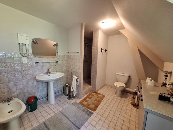 Maison Neris Les Bains 8 pièce(s) 310 m2 habitable + Sous/sol de 244 m² sur terrain clos avec piscine de 2800 m² Neris les bains