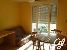 Appartement à louer à Nantes (44300)