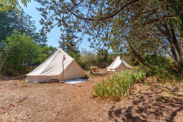 Vente Mas Montpellier 16 Pièces 311 m²