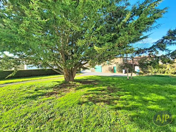 Vente terrain Montaigu : 118 000 € - AJP Immobilier Montaigu