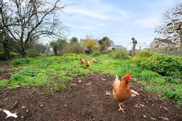 Maison à vendre |  Couëron |  5 pièces | 105 m²