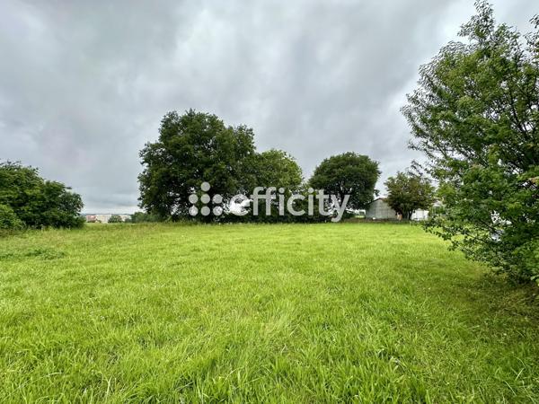 Terrain - 1010 m²