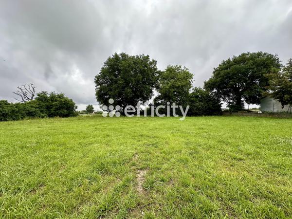 Terrain - 1010 m²
