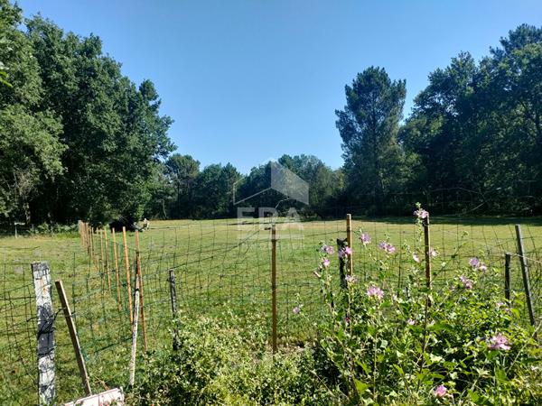 Maison 3 pièces à vendre à Saint-Savin - Terrain de 17200 m²