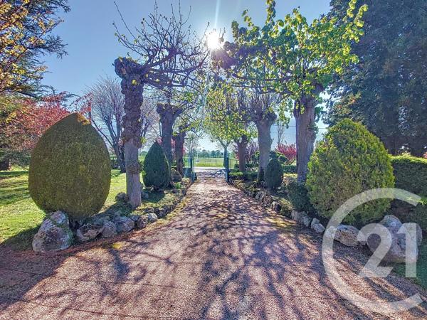 Maison à vendre  7 pièces - 230,31 m2 AIGUEPERSE - 63