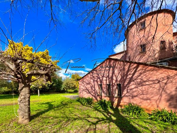 À vendre Villa 7 pièces de 205 m², Terrain 2 700 m², Havre de paix, Folelli, Penta di Casinca, Haute-Corse (20)