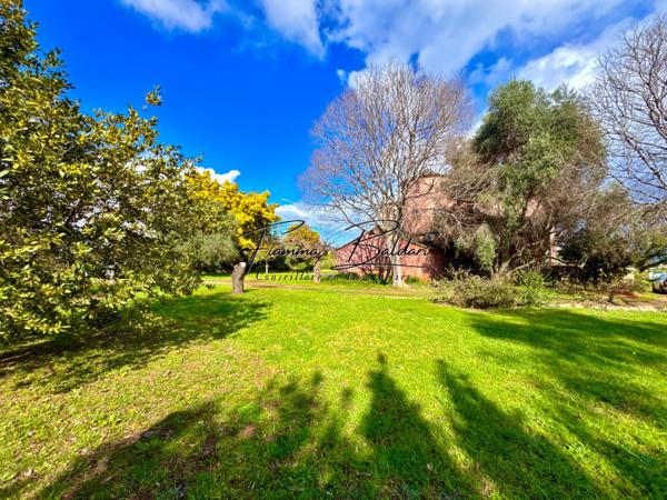 À vendre Villa 7 pièces de 205 m², Terrain 2 700 m², Havre de paix, Folelli, Penta di Casinca, Haute-Corse (20)