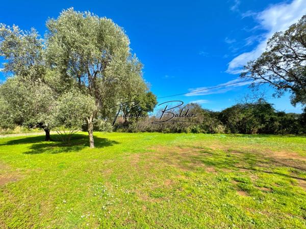 À vendre Villa 7 pièces de 205 m², Terrain 2 700 m², Havre de paix, Folelli, Penta di Casinca, Haute-Corse (20)