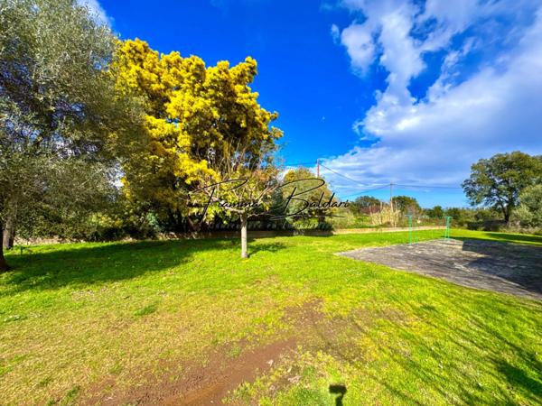 À vendre Villa 7 pièces de 205 m², Terrain 2 700 m², Havre de paix, Folelli, Penta di Casinca, Haute-Corse (20)