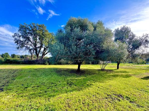 À vendre Villa 7 pièces de 205 m², Terrain 2 700 m², Havre de paix, Folelli, Penta di Casinca, Haute-Corse (20)