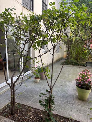 Appartement T2 + garage vendu loué - LYON 9° - SECTEUR VALMY